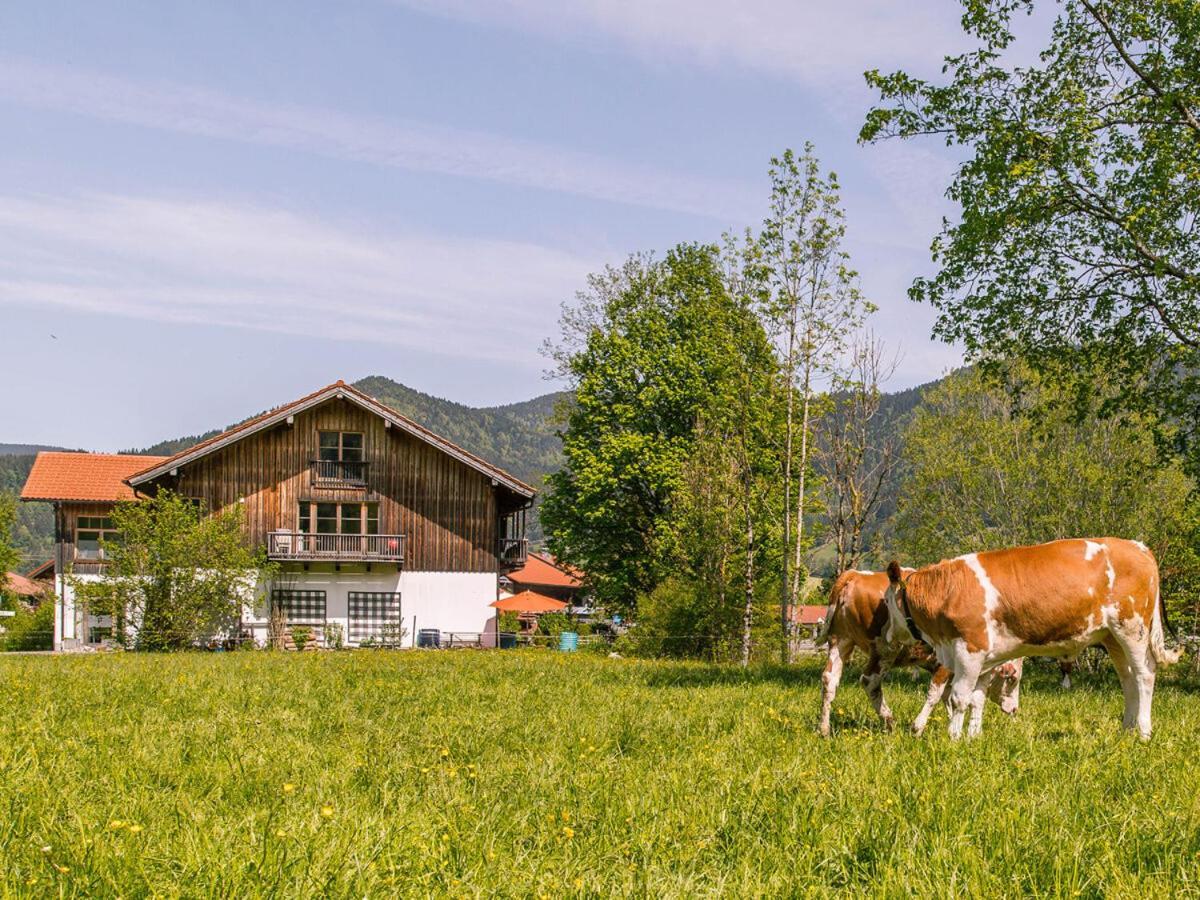 Alpen Chalet Alte Talstation 伦格里斯 外观 照片